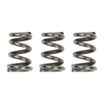 Sprinco Extra Power 5-Coil Bolt Extractor Spring - 3 Pack