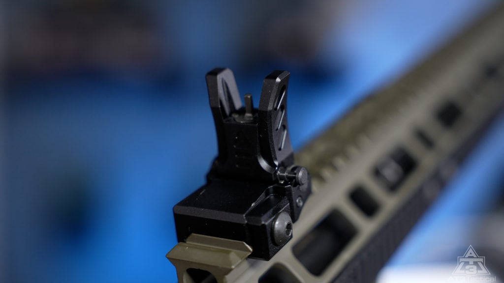 Backup Iron Sights