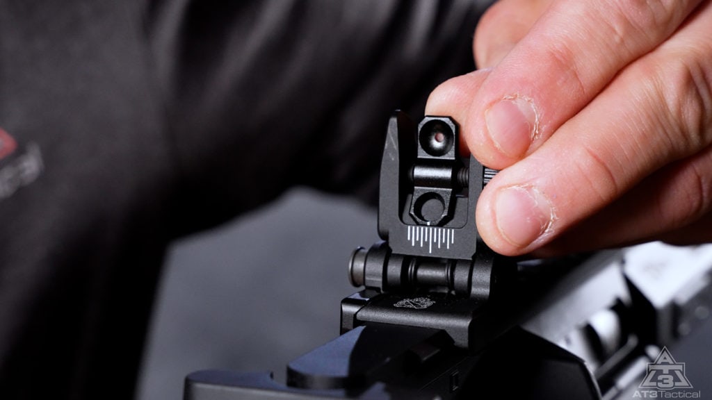Backup Iron Sights