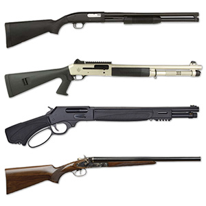 Shotgun Category