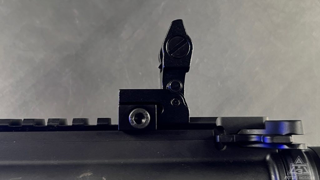 Backup Iron Sights