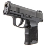 Sig Sauer P365 3.1" .380 ACP Optics Ready Pistol - 10 Rounds - 2 Magazines