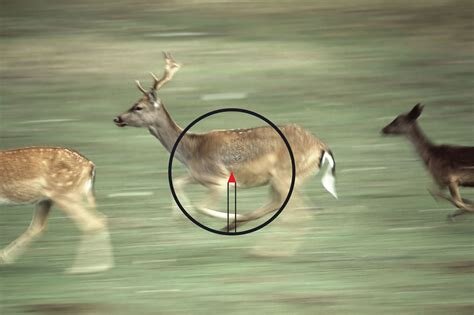 Both-eyes-open Bindon Aiming Concept with a magnified prism optic