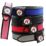 Double Alpha Academy Premium Competition Gun Belt